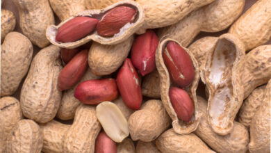 Des polymères à libération prolongée délivrent des métabolites pour traiter l'allergie à l'arachide et la colite.