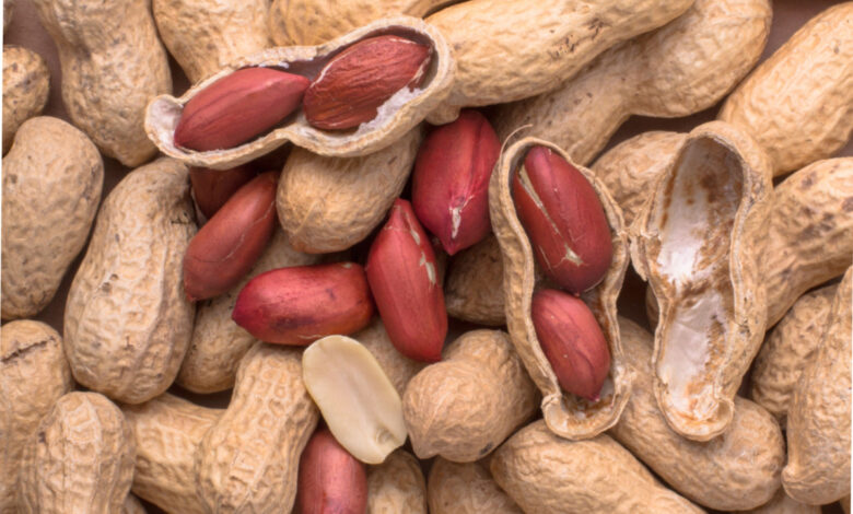 Des polymères à libération prolongée délivrent des métabolites pour traiter l'allergie à l'arachide et la colite.