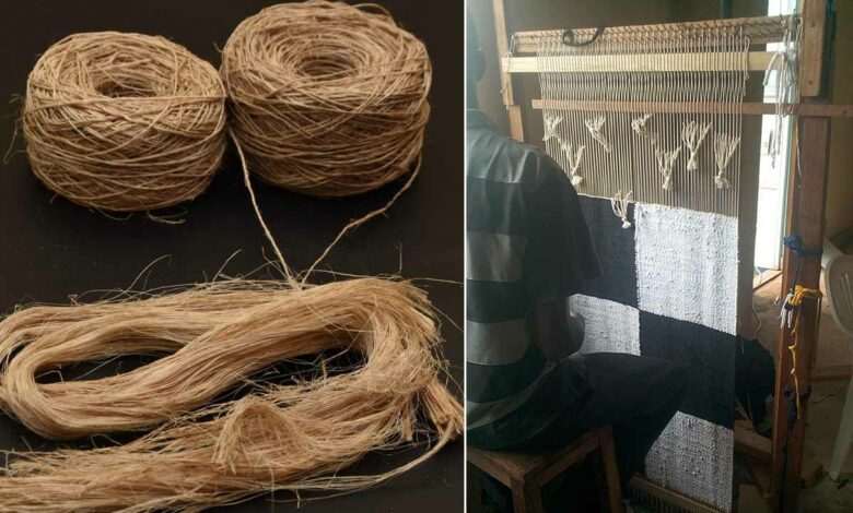 Une entreprise transforme les déchets de bananes en vêtement et décorations.