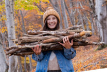 Le ramassage du bois mort en forêt est réglementé, si vous enfreignez la loi, il peut vous en coûter 1 500 € d'amende.
