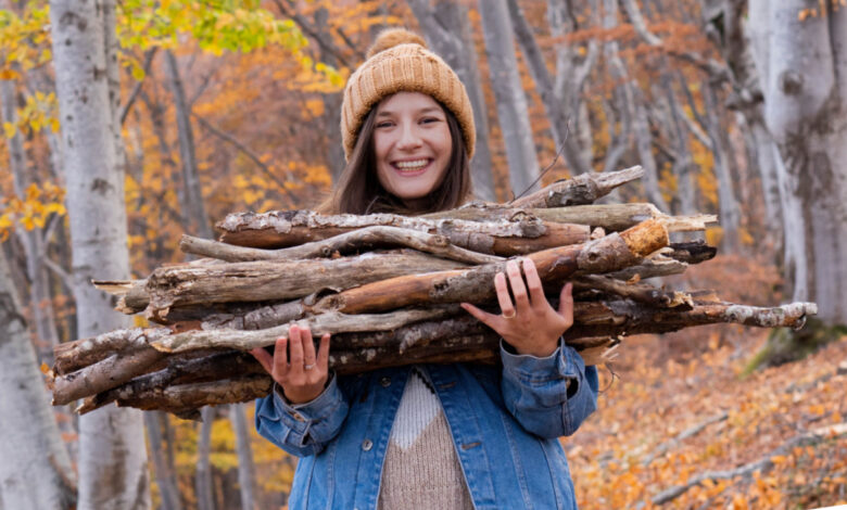 Ramassage du bois en forêt : voici l'amende salée que vous pourriez  récolter !