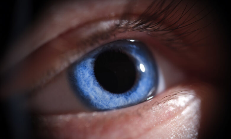 L'implantation de cellules bêta pancréatiques dans l’œil pourrait être une solution pour les diabétiques insulinodépendants.