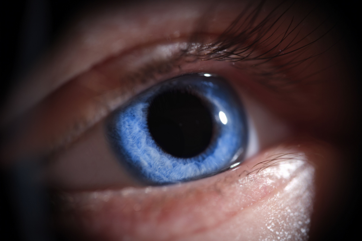L'implantation de cellules bêta pancréatiques dans l’œil pourrait être une solution pour les diabétiques insulinodépendants.