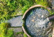 Est-il réellement interdit d'arroser son jardin avec de l'eau de pluie ?