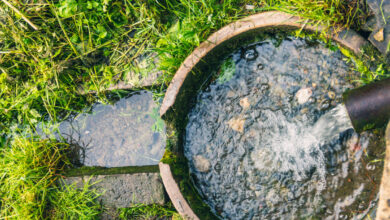 Est-il réellement interdit d'arroser son jardin avec de l'eau de pluie ?