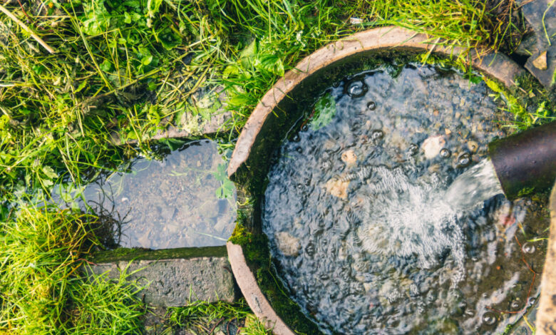 Est-il réellement interdit d'arroser son jardin avec de l'eau de pluie ?
