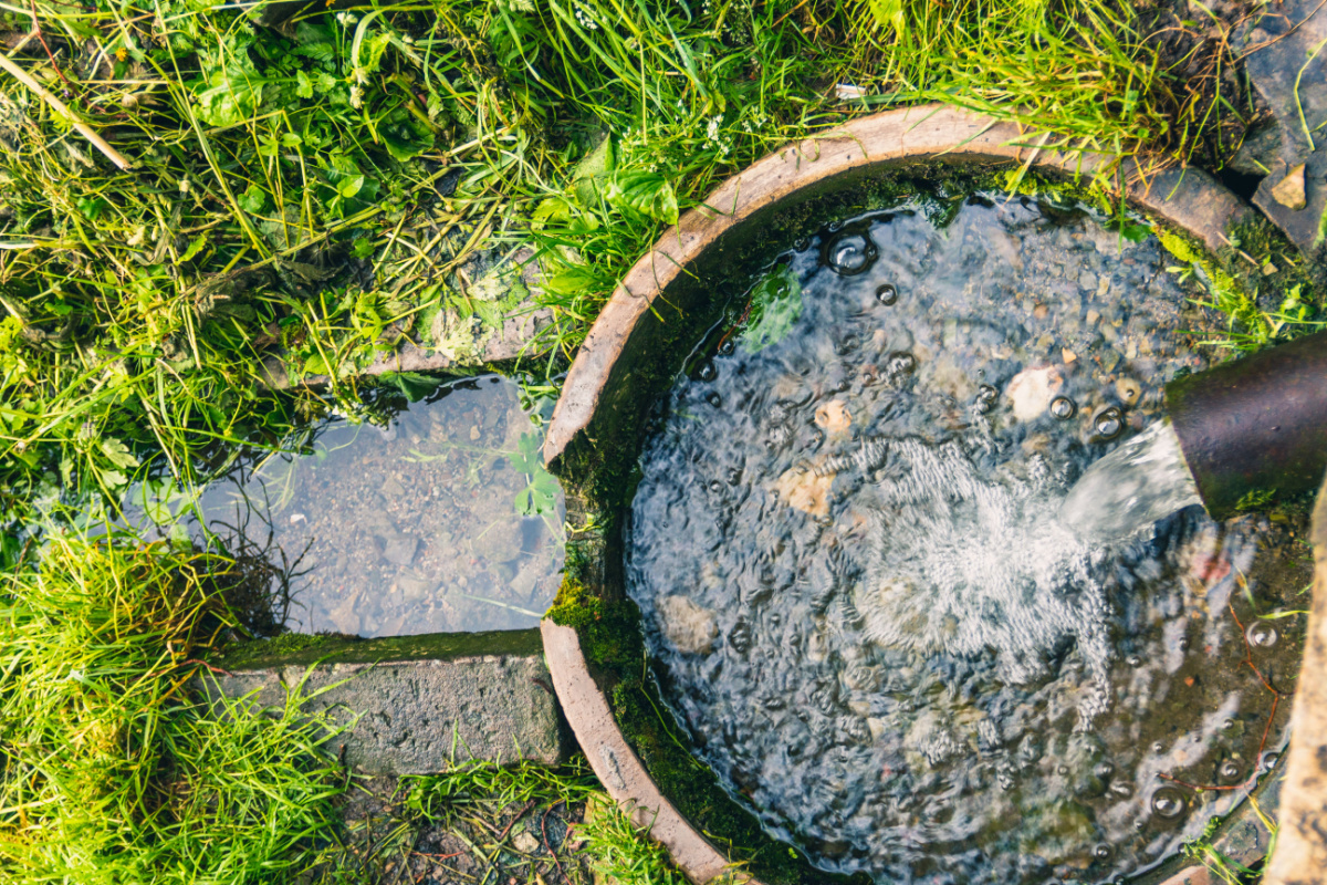 Est-il réellement interdit d'arroser son jardin avec de l'eau de pluie ?