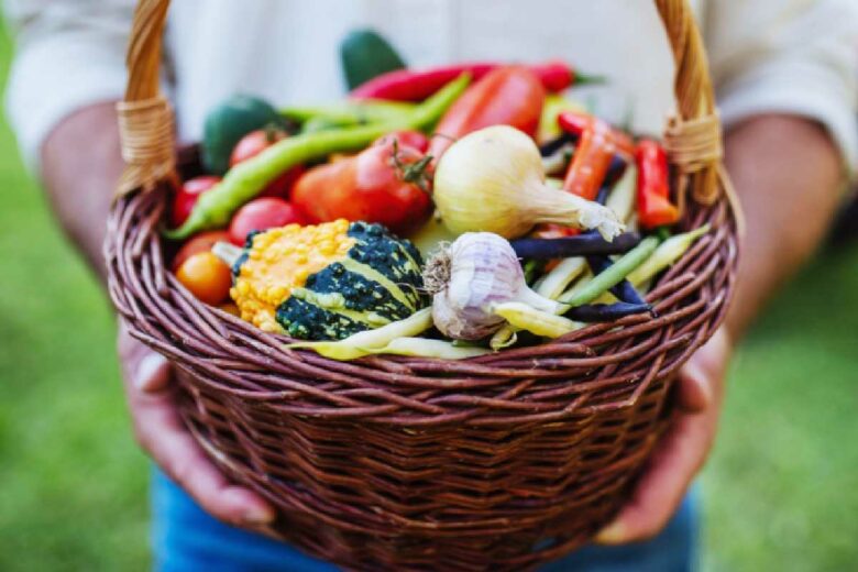 Des paniers de légumes bio offerts aux futures mamans.