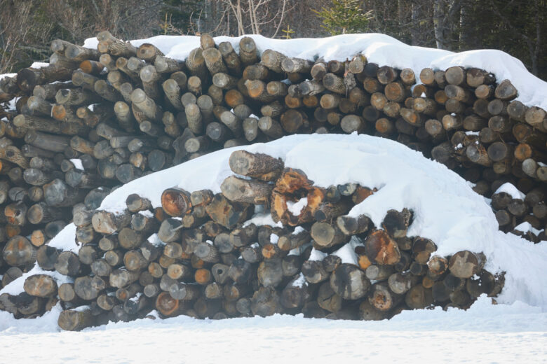 Un tas de bois de chauffage pour l'hiver, voici