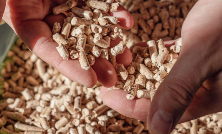 Les pellets Armor et Euro Energie sont à 5,99 € chez Castorama.