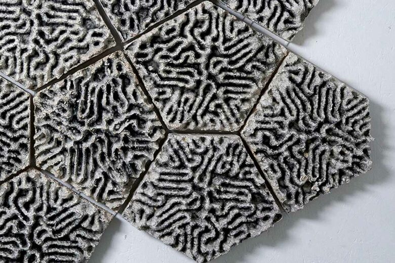 Des carreaux imprimés en 3D à partir de biomatériaux.