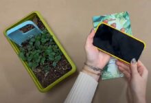 La première coque de téléphone au monde que vous pouvez planter après utilisation.