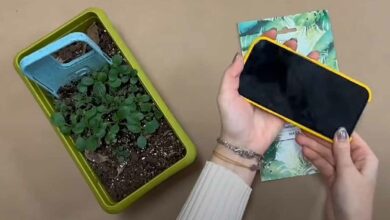 La première coque de téléphone au monde que vous pouvez planter après utilisation.