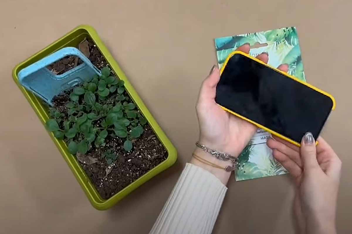 La première coque de téléphone au monde que vous pouvez planter après utilisation.