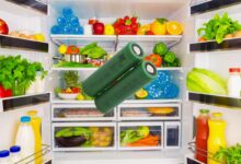 Une batterie comestible à base d'ingrédients alimentaires vient d'être inventée.