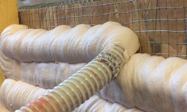 IPSIIS développe des mousses minérales incombustibles, isolantes et réfractaires