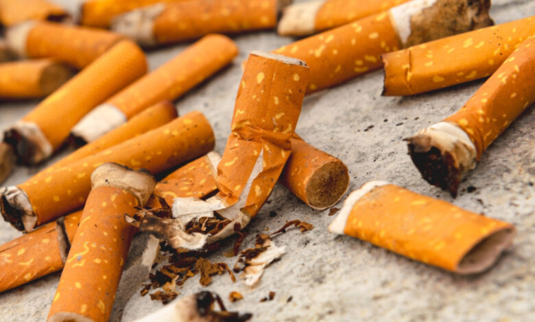 Le recyclage des mégots de cigarettes pourrait réduire les coûts de production du biodiesel