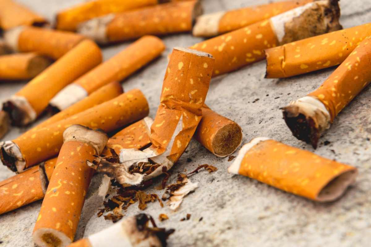 Le recyclage des mégots de cigarettes pourrait réduire les coûts de production du biodiesel