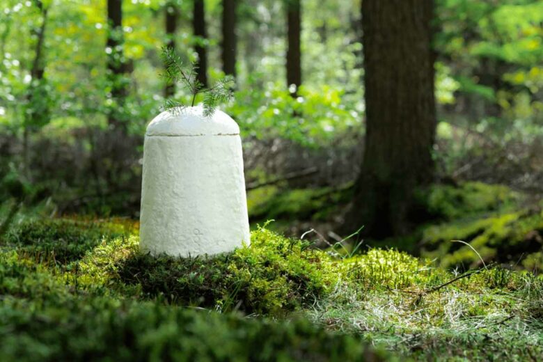 L'urne proposée par Loop Biotech peut accueillir une pousse d'arbre, et se bio dégrade en 45 jours.