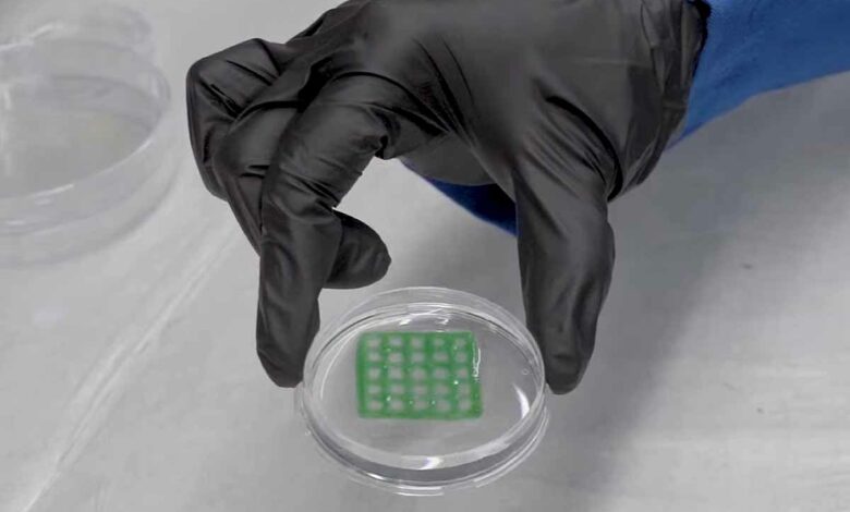 Un « matériau vivant » pour purifier l'eau polluée
