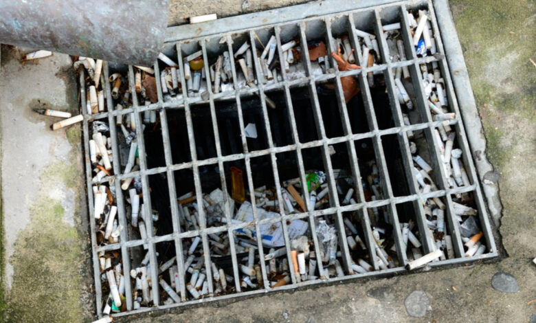 Chaque jour, ce sont 11 milliards de mégots qui rejoignent les océans.