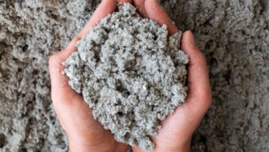 Un produit naturel issu de la nature comme alternative aux plastiques à base de pétrole.