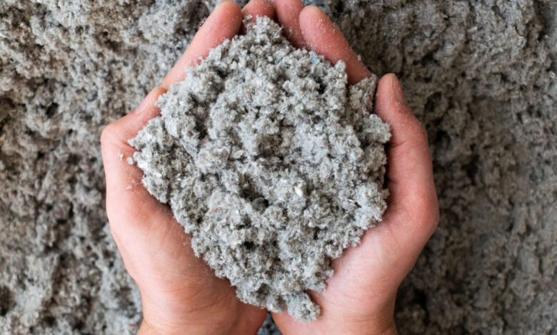 Un produit naturel issu de la nature comme alternative aux plastiques à base de pétrole.