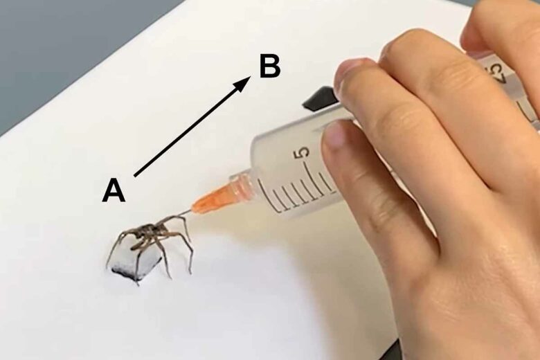 Les scientifiques affirment qu'il s'agit du moyen le plus simple de fabriquer une pince robotisée.