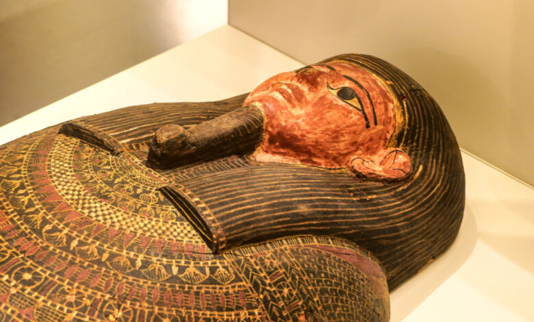 Un sarcophage exposé dans un musée.