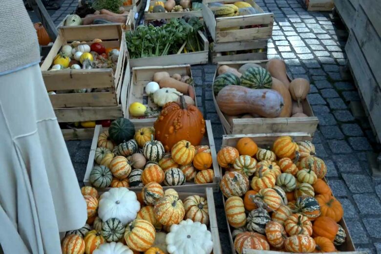 Une distribution de légumes issus des potagers municipaux à Limoges.