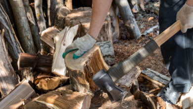 Une association récupère du bois pour chauffer les plus démunis.
