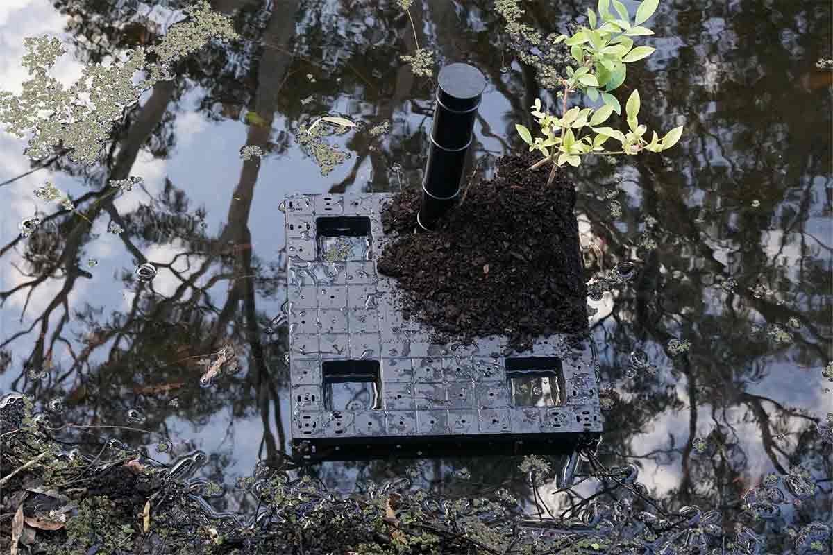 Un module WaterUps pour irriguer vos plantes par capillarité.