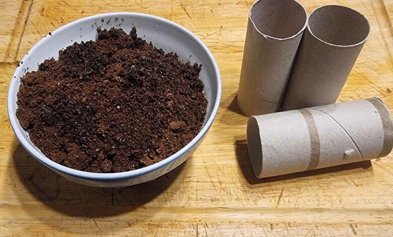 Des bûchettes avec du marc de café.