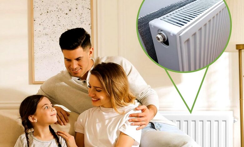 Blostm, un réflecteur de radiateur thermique pour « amplifier » le  chauffage et réduire les factures énergétiques - NeozOne