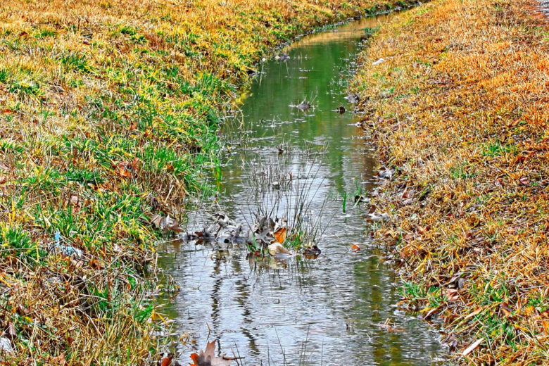 La plantation d'eau de pluie consiste « simplement » à creuser de longs fossés pour collecter les eaux de pluie.