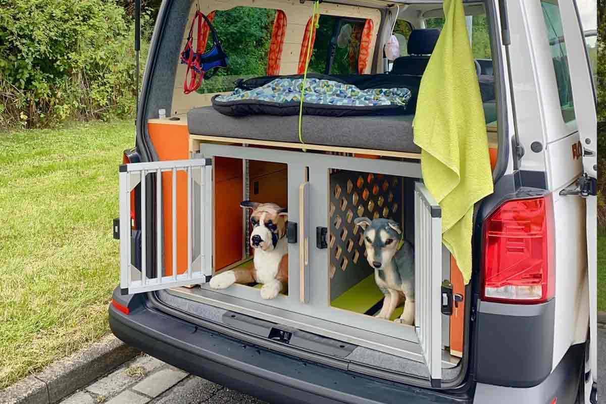 Transport chien voiture, tous les accessoires obli