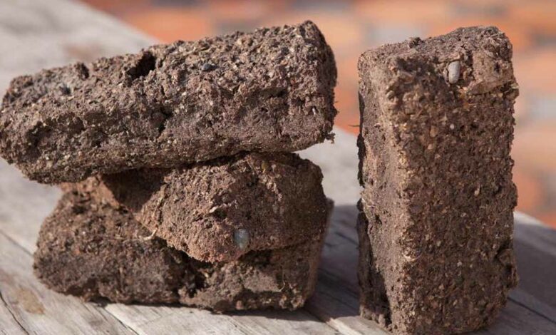 Une alternative innovante au bois de chauffage et au charbon de bois.