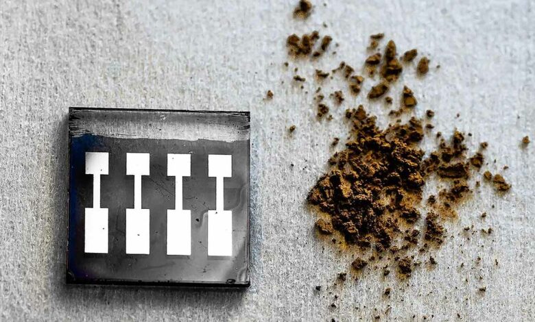 Des scientifiques veulent utiliser du bois pour créer des cellules solaires peu coûteuses et durables.
