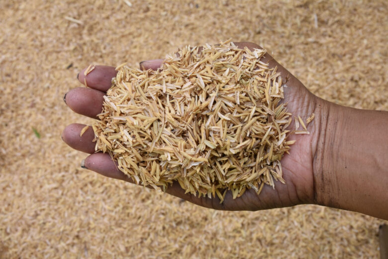 De la balle de riz utilisée pour fabriquer un matériau de construction et d'isolation.