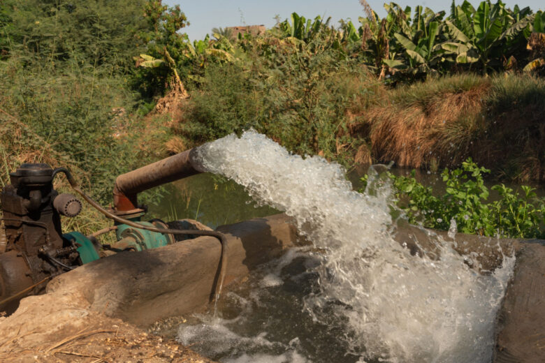De l'eau est pompée du Nil dans des canaux d'irrigation pour alimenter les cultures de bananes en Haute-Egypte.