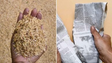 La balle de riz et les journaux recyclés pourraient être les matériaux isolants écologiques du futur