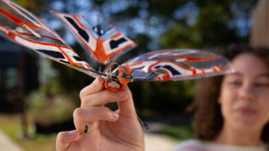 X-Fly : ce drone innovant reproduit le vol des oiseaux et propose de nombreuses fonctionnalités