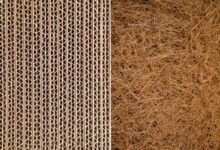 Développement de panneaux d'isolation thermique bio-composite à base de carton et de fibres de palmier dattier