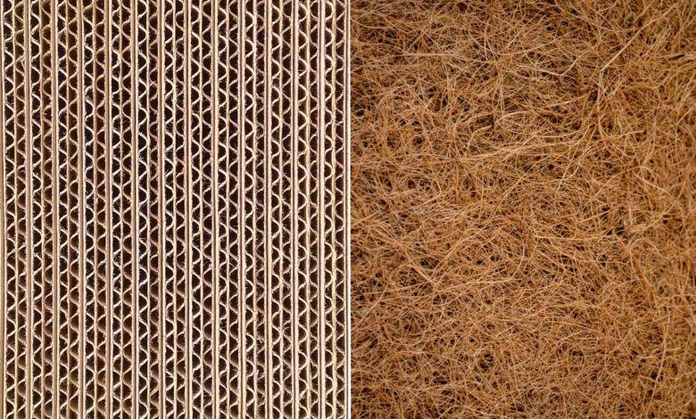 Développement de panneaux d'isolation thermique bio-composite à base de carton et de fibres de palmier dattier