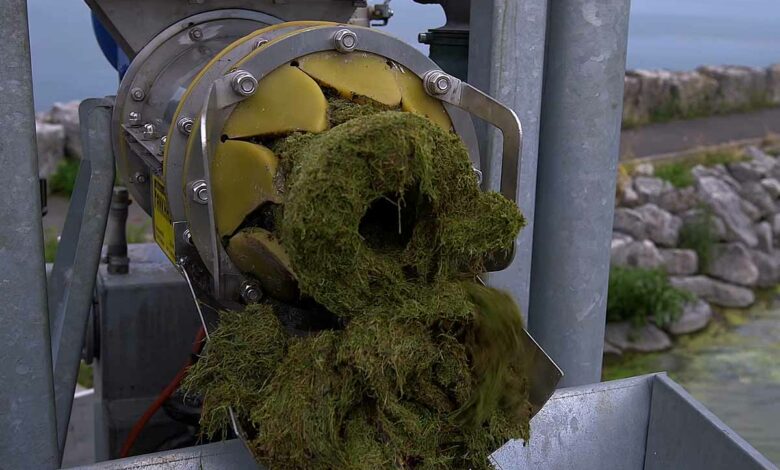 L'invention d'une machine novatrice destinée à aspirer les algues pour les revaloriser en matière première.