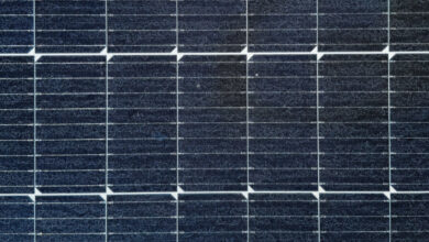 LONGi annonce un rendement de 27,09 % pour sa cellule solaire à contact arrière à hétérojonction (HBC).