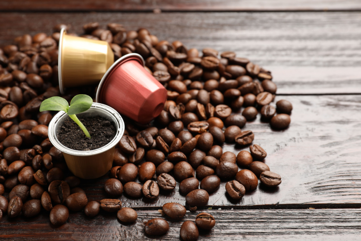 Moulu, en grains ou en dosette, quel est le café le plus économique (et le  plus écologique) ? - NeozOne