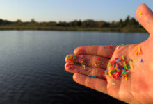 Les microplastiques polluent nos océans, nos mers, nos cours d'eau.