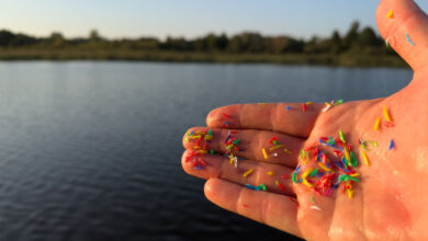 Les microplastiques polluent nos océans, nos mers, nos cours d'eau.