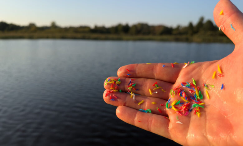 Les microplastiques polluent nos océans, nos mers, nos cours d'eau.